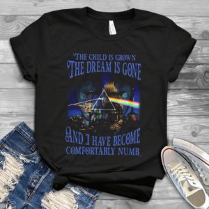 For Pink Floyyd The Child Is Grown The Dream Is Gone And I Have Become Comfortably Numb Trending Handmade Shirt