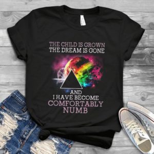 For Pink Floyyd The Child Is Grown The Dream Is Gone Trending Handmade Shirt