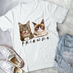 Funny Grumpy Cat And Cute Cat Friends Cat Lover Handmade Shirt