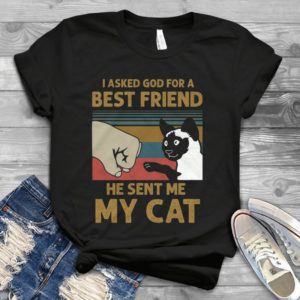 I Asked God For A Best Friend He Sent Me My Cat Handmade Shirt