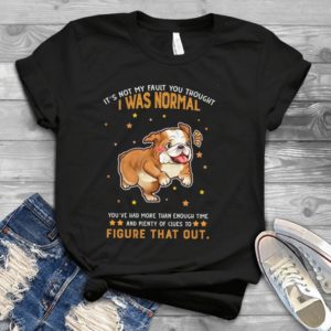 It's Not My Fault You Thought I Was Normal You've Had More Than Handmade Shirt