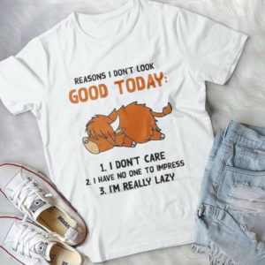 Reasons I Don't Look Good Today I Don't Care I Have No One To Impress Handmade Shirt