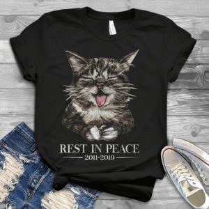 Rest In Peace Cat 2011 -2019 Cat Lover Trending Handmade Shirt