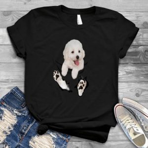 A Bichon And American Flag Animal And American Flag A Bichon And American Flag, Cat Wear Headband And Glasses, Cute Bichon, Adoreble Puppy