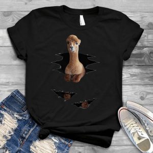 Alpaca Pocket Wild Animal South American Alpaca, Alpaca Pocket, Cute Animal, Wild Animal