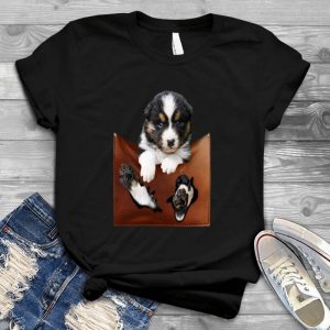 Australian Shepherd Image Animal Image White And Black Dog, Cute Dog Image, Australian Shepherd Image