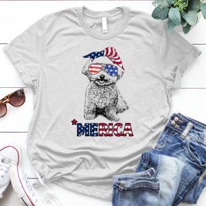 Bichon Frise Lady Friendship Of Human And Animal Bichon Frise Lady,the Girl Hold Bichon, The Girl Love Bichon , The Friendship Of Humman And Dog