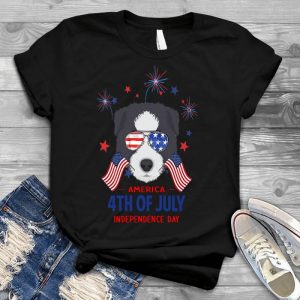 Border Collie Us Independence Day People Best Friend Border Collie, Us Independence Day, Dog Cartoon Art, People Best Friend, Be
