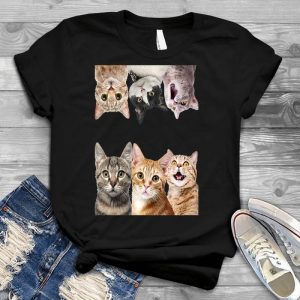 Funny Cats Lovely Kitten Graphic Pet, Cat Lover, Kitten, Cat Meme, Funny Cat, Cute Kitten