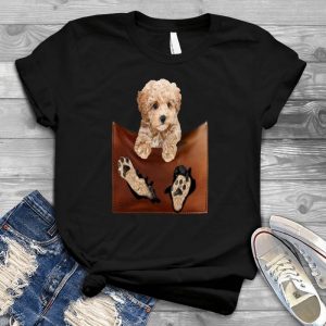 Funny Teddy Bear Adorable Dog Pictures A Dogaholic, Dog Images Stock, Pet Pictures, Adorable Dog Pictures, Cute Dog Images, Cute Dog Pictures