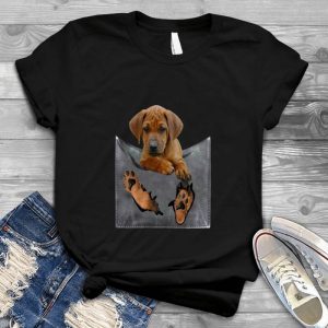 Lovely Dog Best Gift For Dog Have A Dog, Nice Dog, Cute Dog