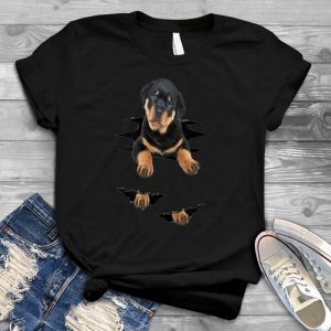 Lovely Dog Dog Image Nice Dog, Little Dog, Funny Dog