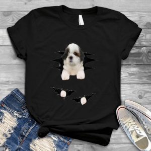 Shih Tzus Puppy Shih Tzu Image Cute Shih Tzus Puppy, My Shih Tzu Puppy, Nice Little Shih Tzu